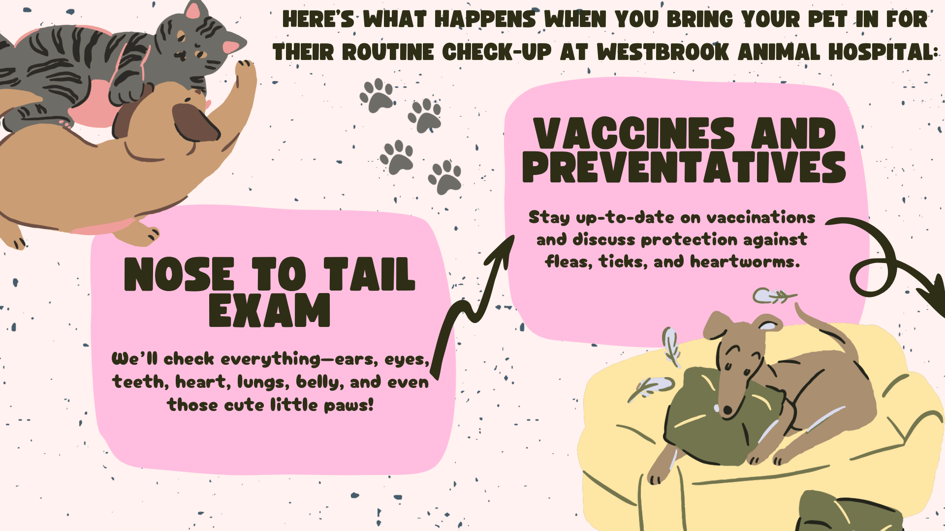 Pink and Cream Organic Illustrative Pet Adoption Advocacy Presentation - 4